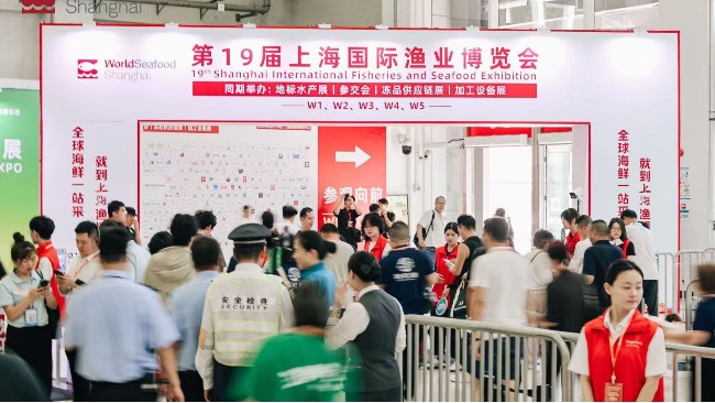 刀光鱼影间的商机，清酒如何成为海鲜盛宴中的&ldquo;隐形赢家&rdquo;？
