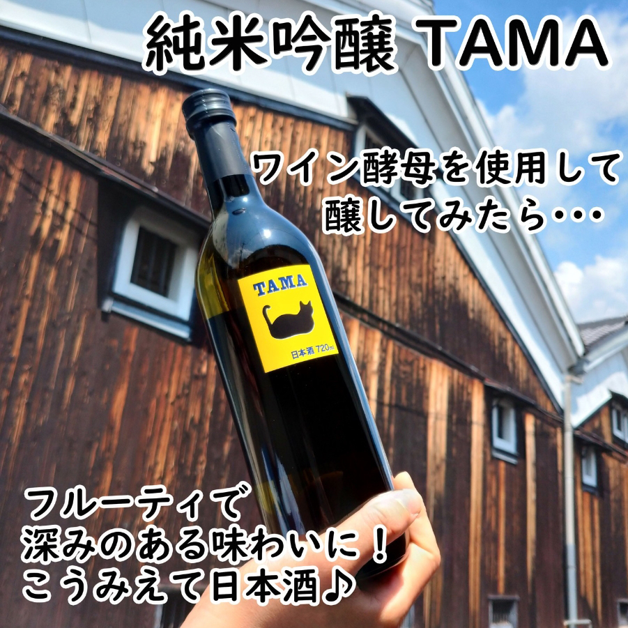 resource/images/4a66979092e7432fa9faf8cffab2f9fd_7.png