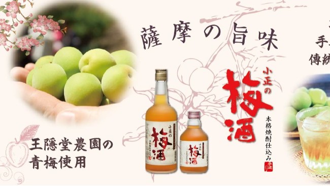本格烧酎手工酿制，传统家庭风味的酸甜梅酒
